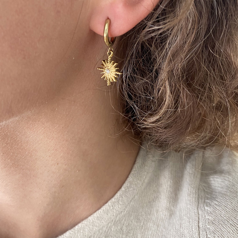 Pure Steel Charms Earrings  - Crystal Star Gold