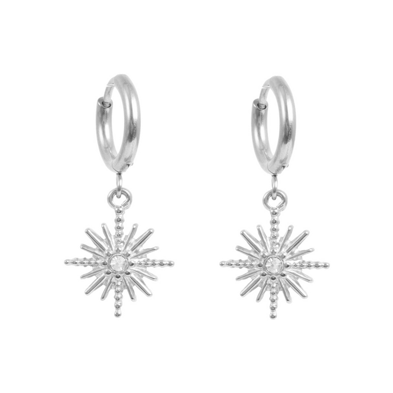 Pure Steel Charms Earrings  - Crystal Star Silver