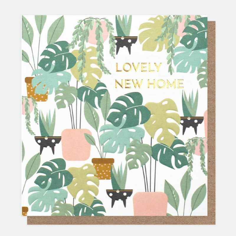 Lovely New Home House Plants Card