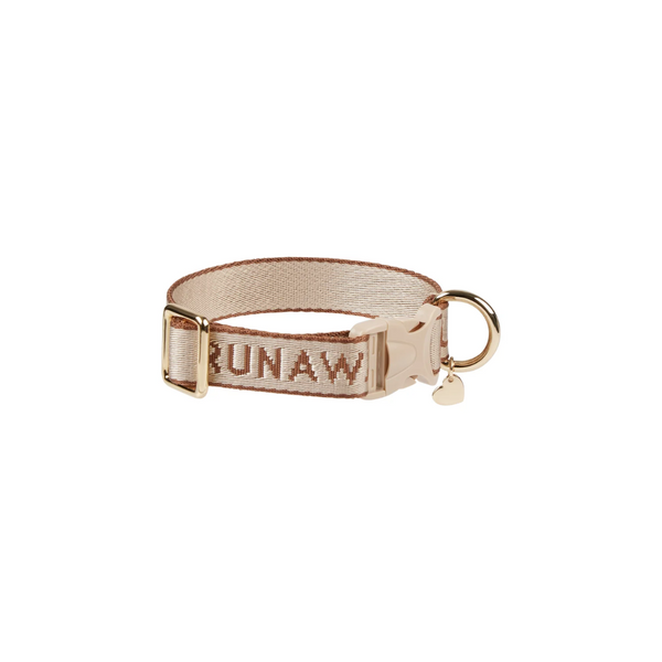 Runaway Woven Dog Collar