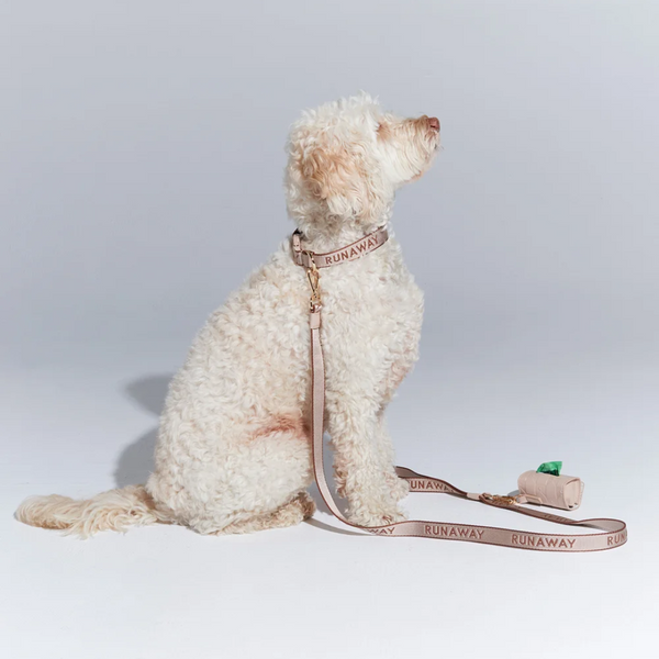 Runaway Woven Dog Leash + Bag Holder - Macadamia/Chestnut